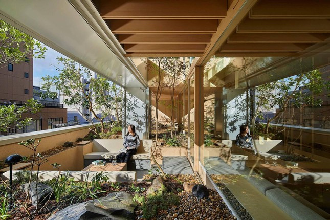 Gia chu thong tang 2 can ho chung cu de lam san vuon cho ban be thuong tra-Hinh-6