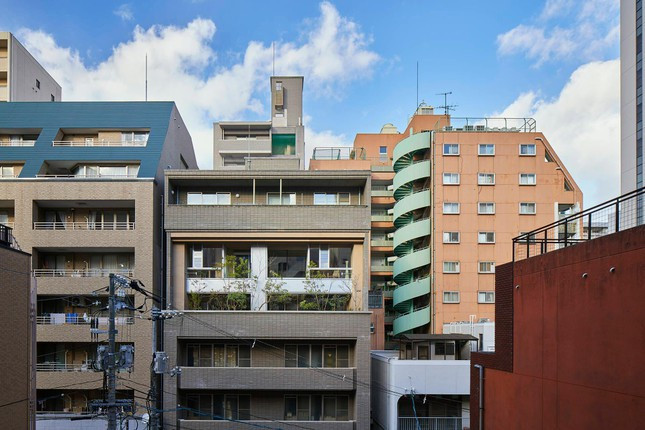 Gia chu thong tang 2 can ho chung cu de lam san vuon cho ban be thuong tra-Hinh-4