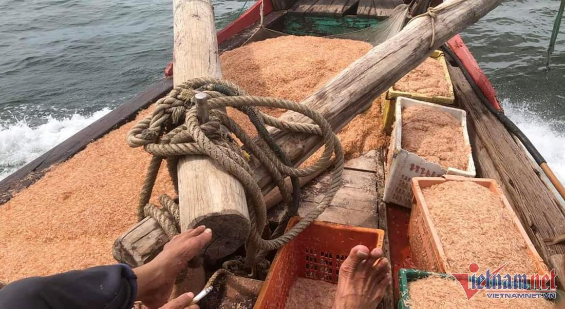 Xúc lộc biển nhỏ 10mm, ngư dân Cửa Lò thu nhanh tiền triệu mỗi ngày - Hình 2 Xuc loc bien nho 10mm, ngu dan Cua Lo thu nhanh tien trieu moi ngay-Hinh-2