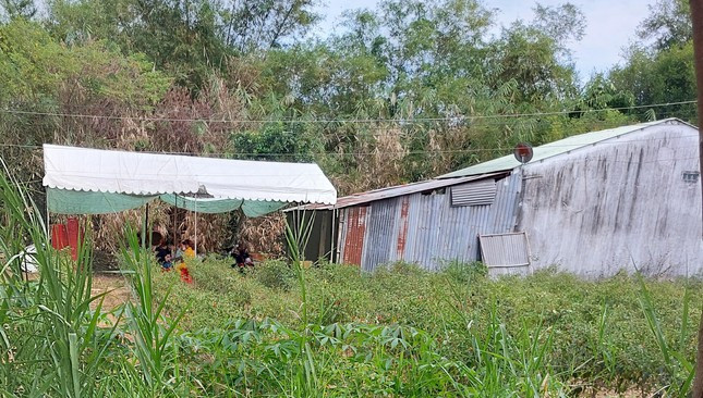 Thanh nien sat hai cha ruot roi dem xac phi tang