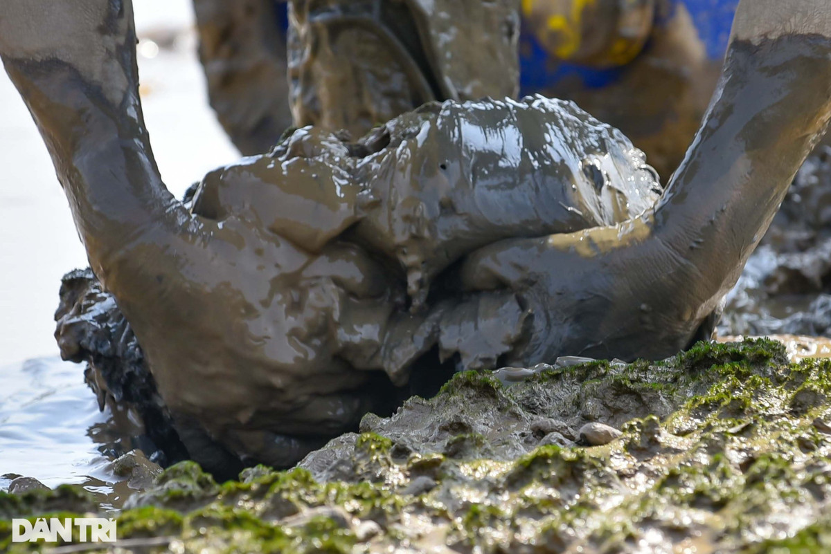 Săn loài cá biết leo cây, ngư dân kiếm nửa triệu đồng mỗi ngày - Hình 5 San loai ca biet leo cay, ngu dan kiem nua trieu dong moi ngay-Hinh-5