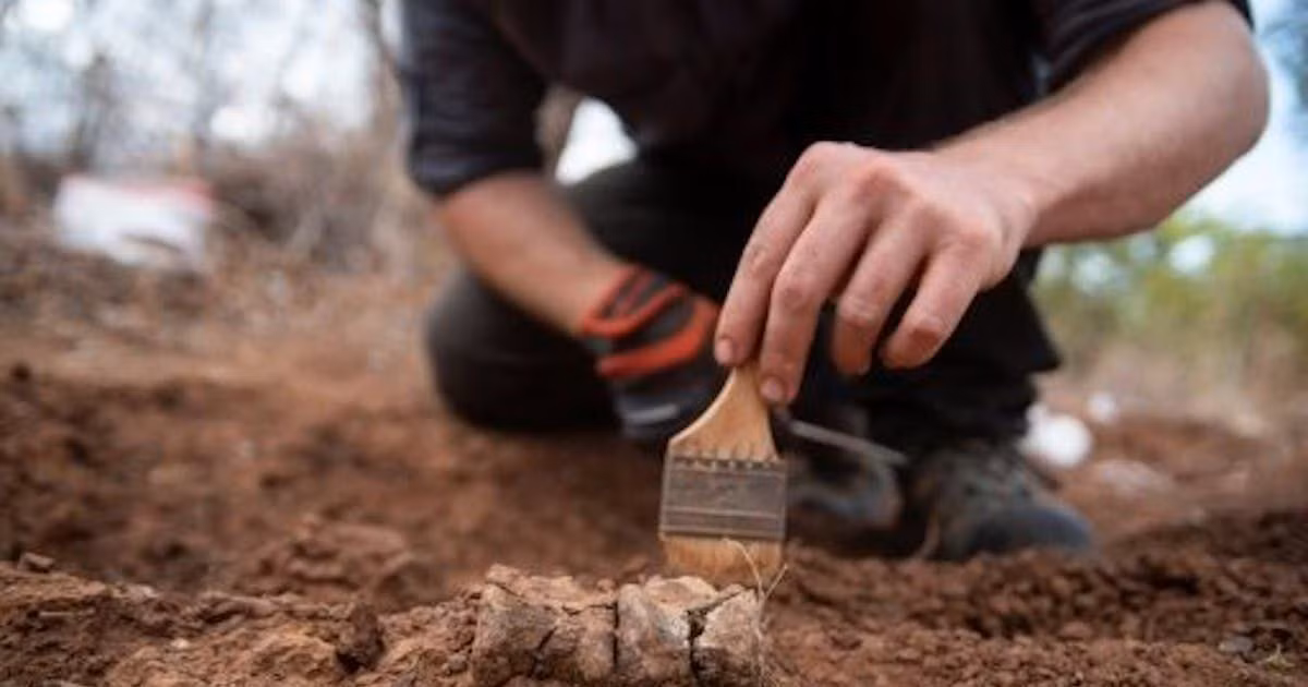 Ong to cua vua quai vat hien hinh nguyen ven sau 230 trieu nam