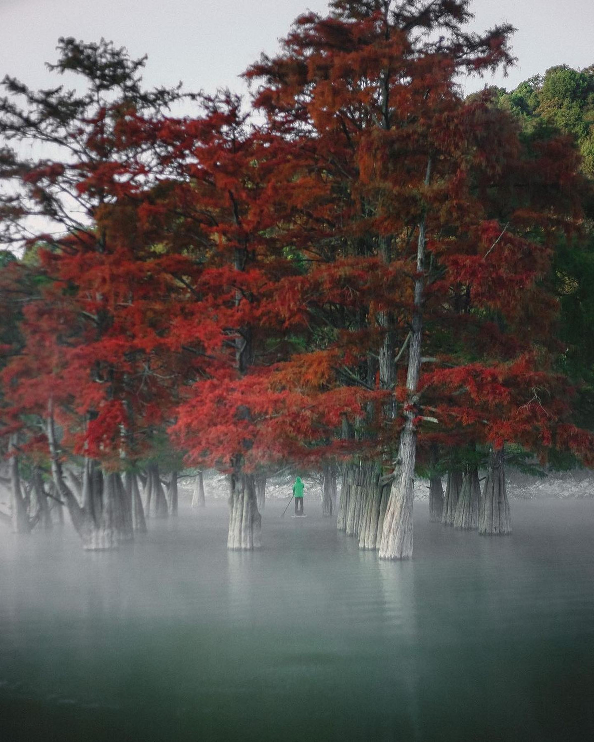 Khu rung do bi an o Nga-Hinh-6