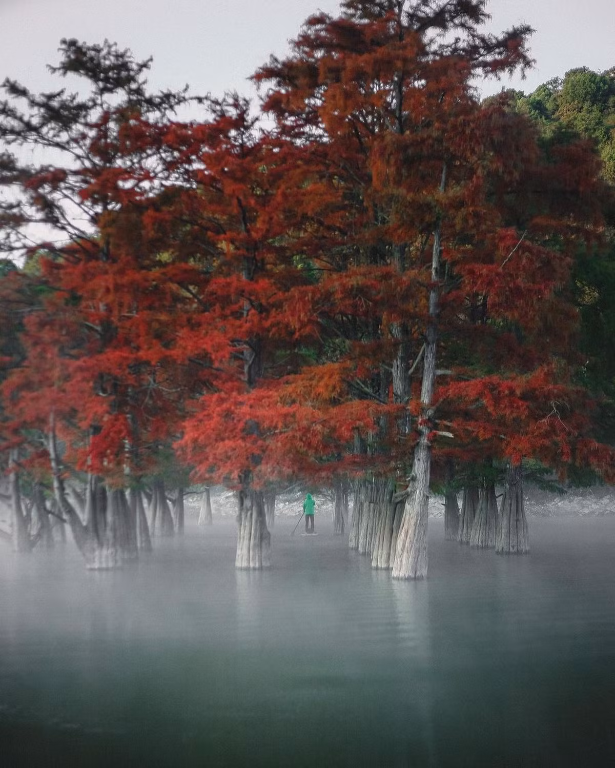 Khu rung do bi an o Nga-Hinh-6