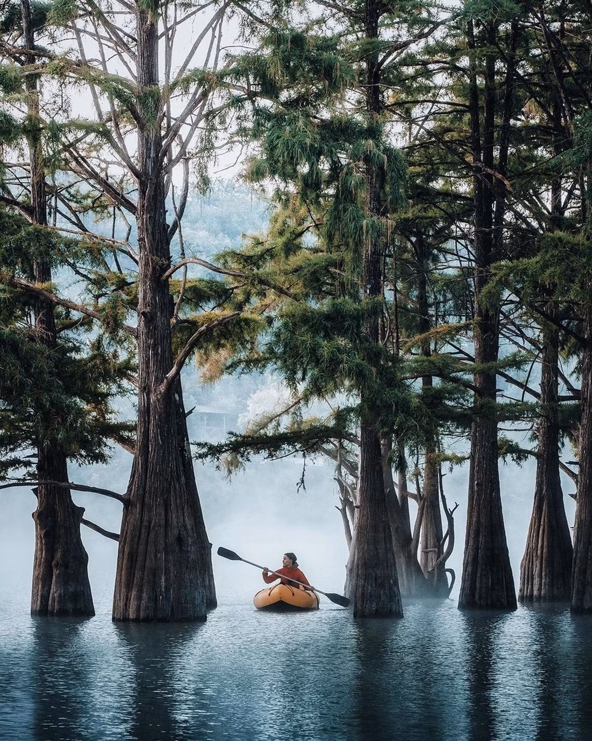 Khu rung do bi an o Nga-Hinh-3