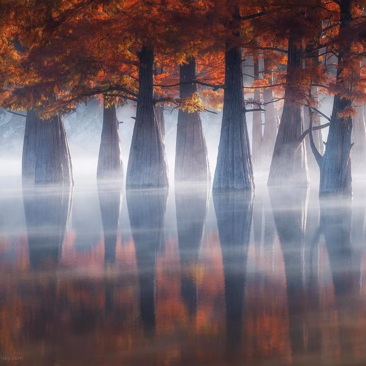 Khu rung do bi an o Nga-Hinh-4