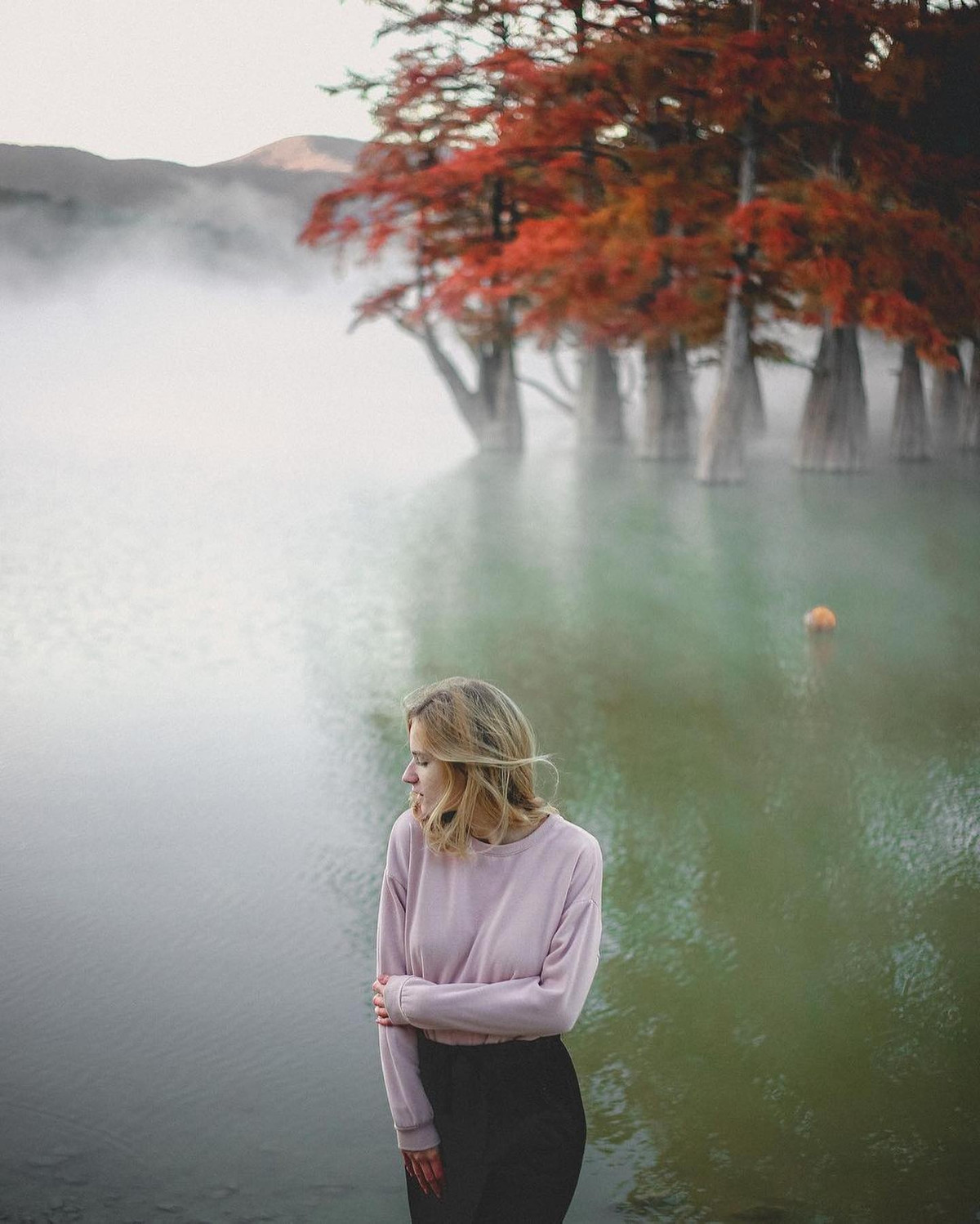 Khu rung do bi an o Nga-Hinh-5