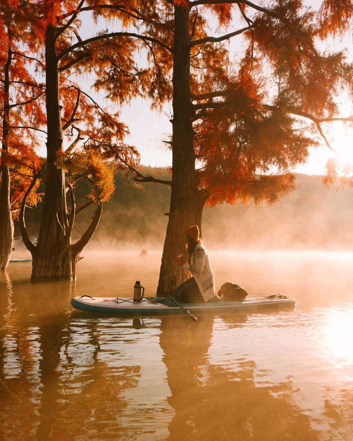 Khu rung do bi an o Nga-Hinh-8