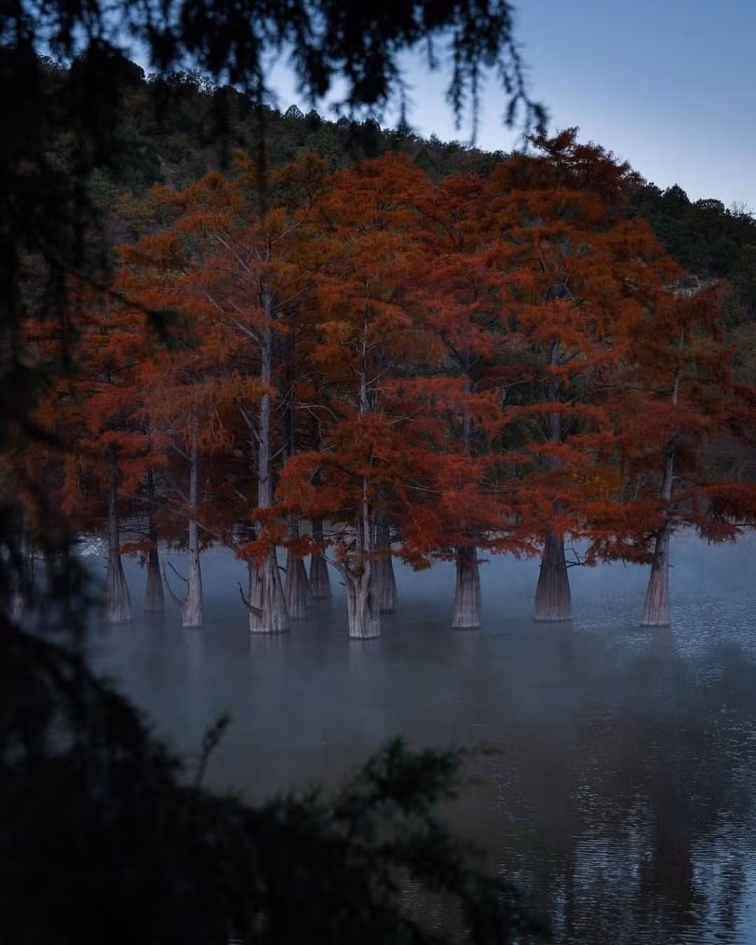 Khu rung do bi an o Nga-Hinh-7