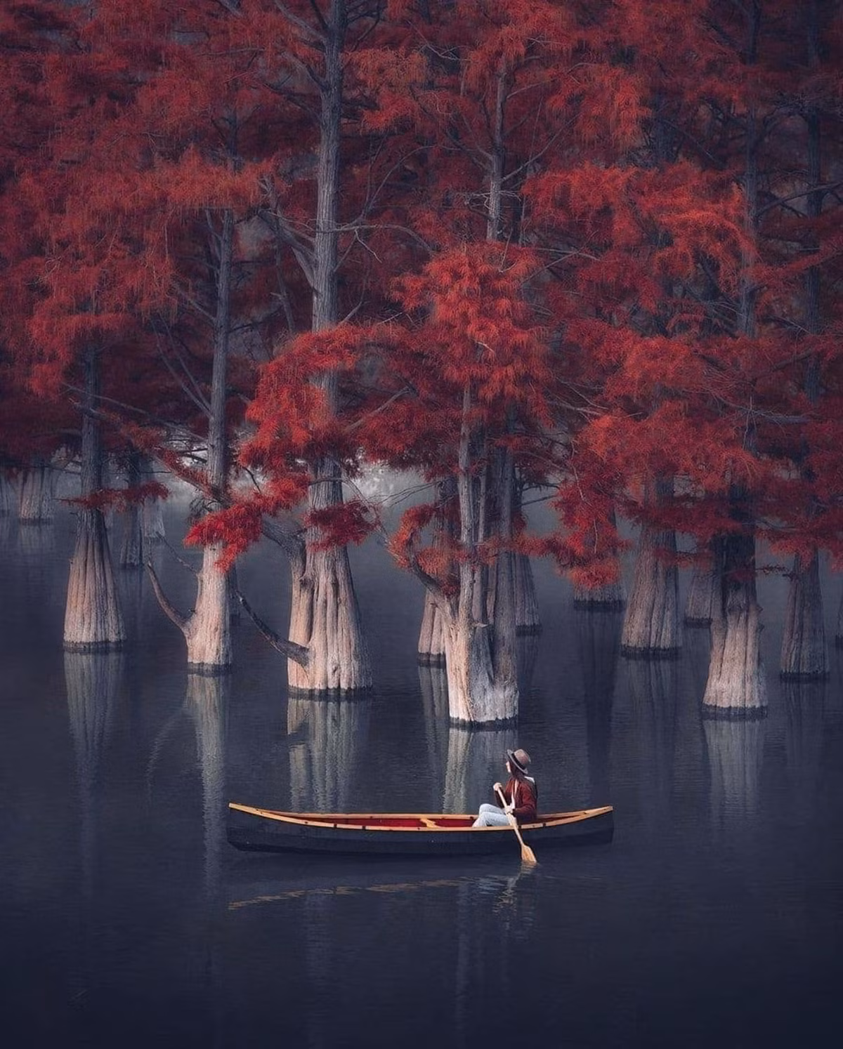 Khu rung do bi an o Nga-Hinh-2