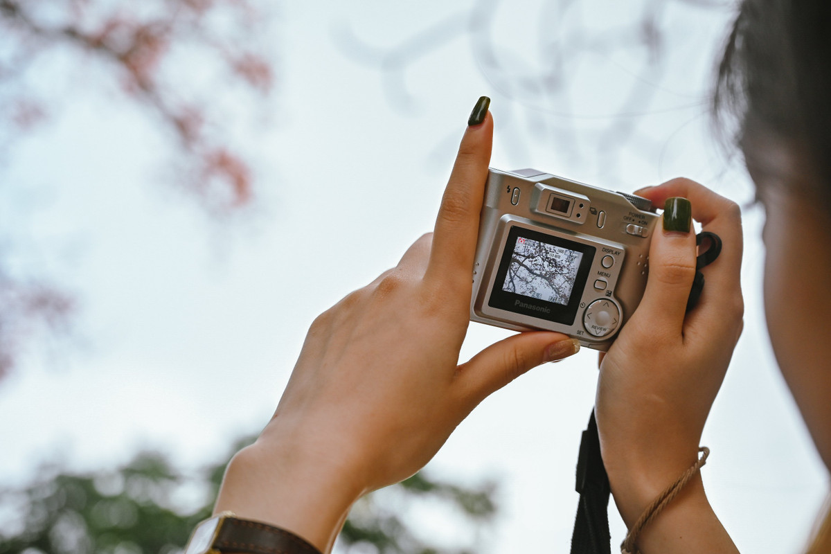 Với những bạn trẻ có sở thích chụp ảnh, đây là một địa điểm phù hợp để sở hữu những khung hình ưng ý.