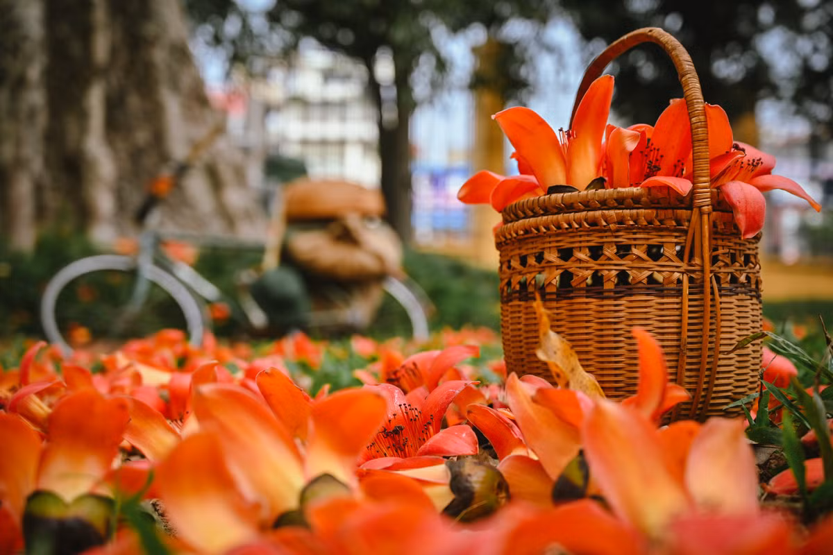 Hiện tại bảo tàng có tổ chức tour tham quan cho khách. Dưới gốc cây hoa gạo được trang trí, mô phỏng lại khung cảnh vùng quê Bắc Bộ thời chiến thông qua hình ảnh những chiếc xe tải gạo, quán nước,...