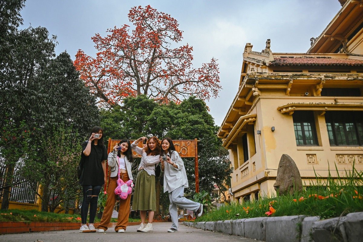 Những ngày qua, đông đảo bạn trẻ tới chụp ảnh cùng cây hoa gạo này. Tăng Hương Giang (19 tuổi) chia sẻ: "Em thấy ở đây rất phù hợp cho những chuyến đi chơi trong ngày. Sau khi ghé thăm bảo tàng, chúng em ra đây để chụp ảnh cùng hoa gạo".