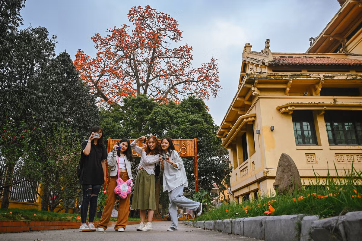 Những ngày qua, đông đảo bạn trẻ tới chụp ảnh cùng cây hoa gạo này. Tăng Hương Giang (19 tuổi) chia sẻ: "Em thấy ở đây rất phù hợp cho những chuyến đi chơi trong ngày. Sau khi ghé thăm bảo tàng, chúng em ra đây để chụp ảnh cùng hoa gạo".