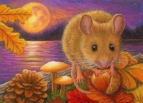 Con giáp này cũng có tính cách ôn hòa, không hay so đo, tính toán nên càng được mọi người yêu mến.