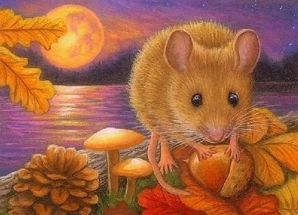 Con giáp này cũng có tính cách ôn hòa, không hay so đo, tính toán nên càng được mọi người yêu mến.