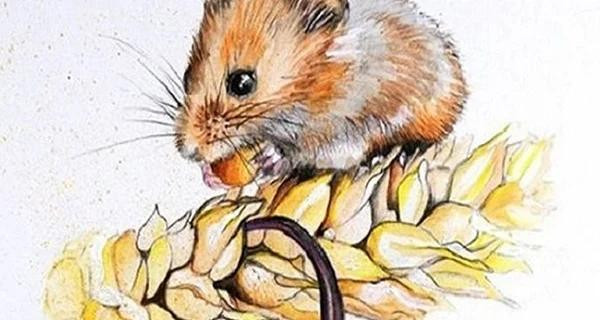 Than Tai 'do' 3 con giap tai loc nhan doi, om tai san khung nam 2023