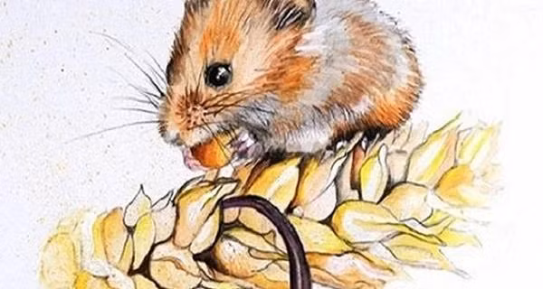 Than Tai 'do' 3 con giap tai loc nhan doi, om tai san khung nam 2023