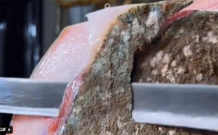 Đồ ăn mốc thường là đồ bỏ đi vì gây hại cho sức khỏe, thế nhưng có những thứ càng mốc lại càng… đắt tiền như miếng thịt lợn dưới đây
