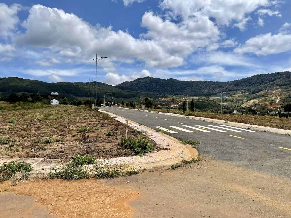 Lam Dong dung tach thua, ra soat viec hien dat lam duong