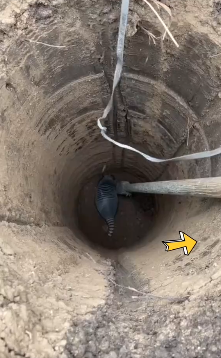 Dao gieng thay con vat co hinh thu ky la