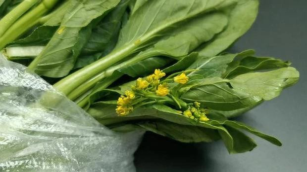 Thuc pham khong nen tru lau trong tu lanh vi de bien chat, gay ngo doc