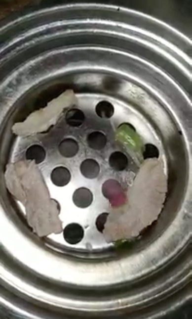 Co gai rua bat thay sinh vat nay, netizen xon xao-Hinh-3