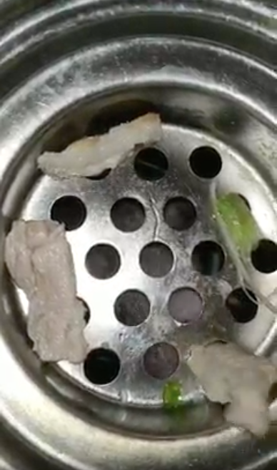 Co gai rua bat thay sinh vat nay, netizen xon xao-Hinh-2