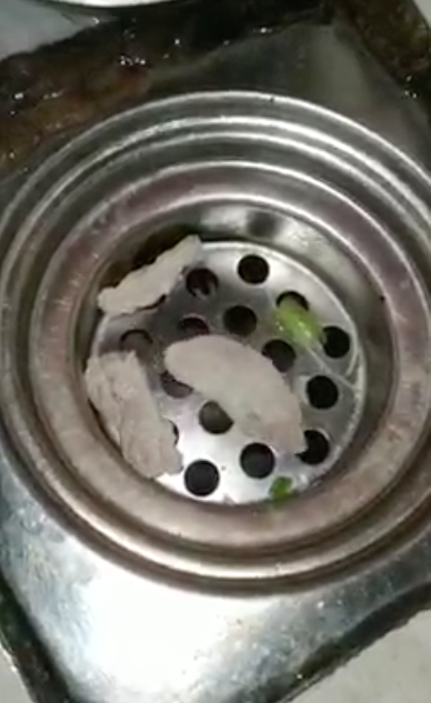 Co gai rua bat thay sinh vat nay, netizen xon xao