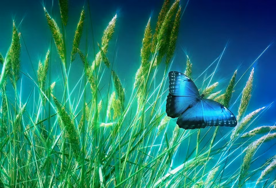 Sinh thang Am lich nay kho truoc suong sau, no luc khong uong phi-Hinh-5