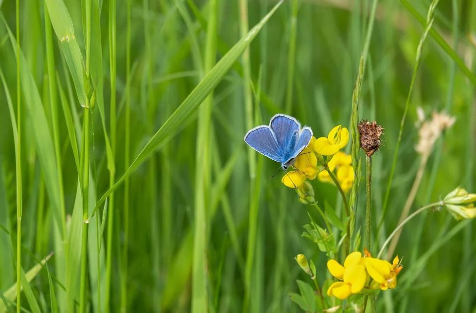 Sinh tháng Âm lịch này khổ trước sướng sau, nỗ lực không uổng phí Sinh thang Am lich nay kho truoc suong sau, no luc khong uong phi