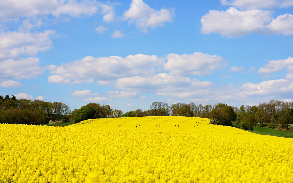 Sinh tháng Âm lịch này khổ trước sướng sau, nỗ lực không uổng phí - Hình 2 Sinh thang Am lich nay kho truoc suong sau, no luc khong uong phi-Hinh-2