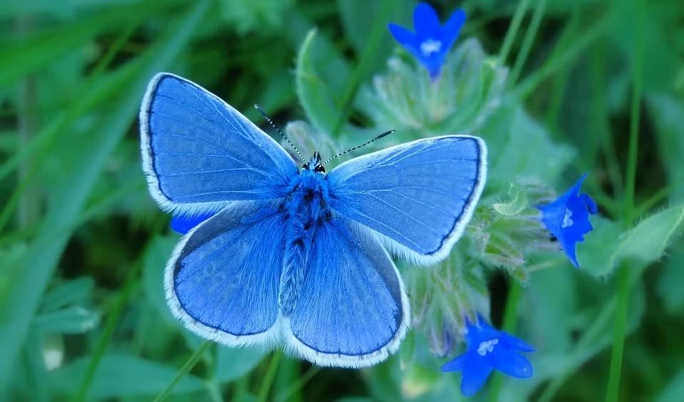 Sinh thang Am lich nay kho truoc suong sau, no luc khong uong phi-Hinh-4