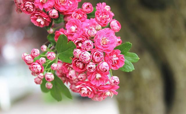 Tuan moi tu 11/7, 3 con giap don loc ve nha, tai khoan khong ngung nhay so