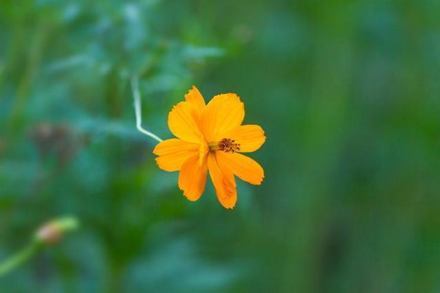 Tuan moi tu 11/7, 3 con giap don loc ve nha, tai khoan khong ngung nhay so-Hinh-3