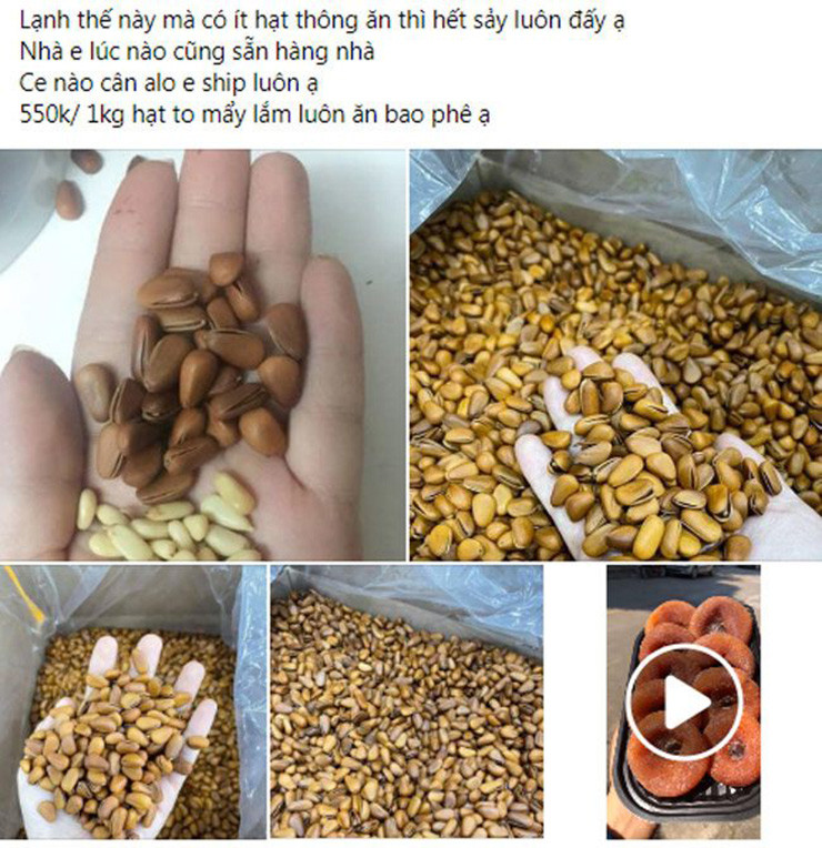 Với hạt thông nhập khẩu, giá thành khá cao, dao động từ 500.000-700.000 đồng/kg với loại còn nguyên vỏ