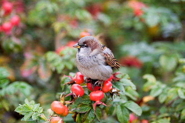 Sinh tháng Âm lịch này, đầu óc nhạy bén, phán đoán “như thần” - Hình 2 Sinh thang Am lich nay, dau oc nhay ben, phan doan “nhu than”-Hinh-2