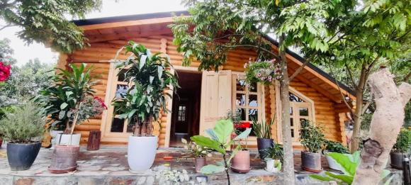 Gia chu dung can nha go giua long Ha Noi lam noi nghi duong-Hinh-8