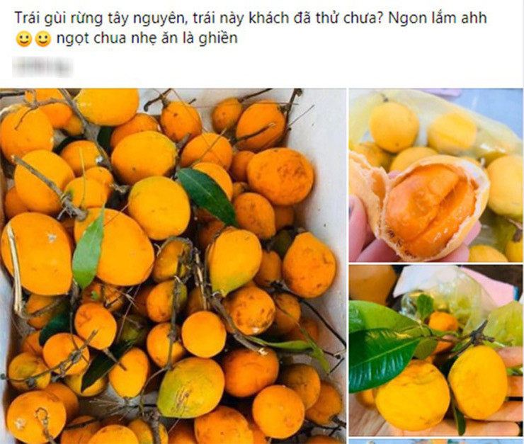 Trên chợ mạng, trái gùi được rao bán với giá lên tới 210.000 đồng/kg.