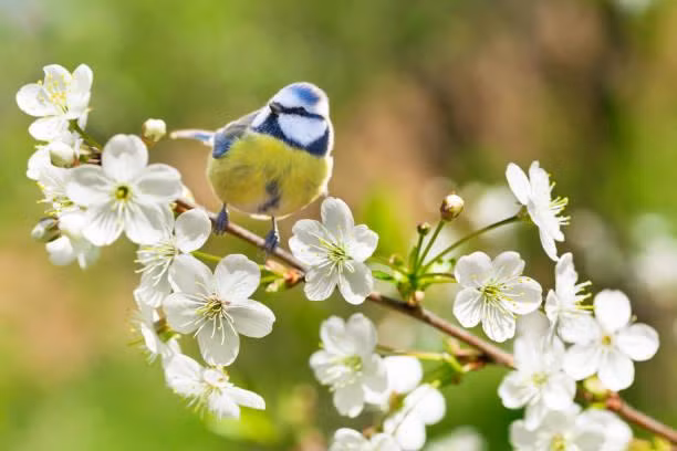 Nguoi sinh thang Am lich nay co duyen tien bac, lam an thuan loi-Hinh-3