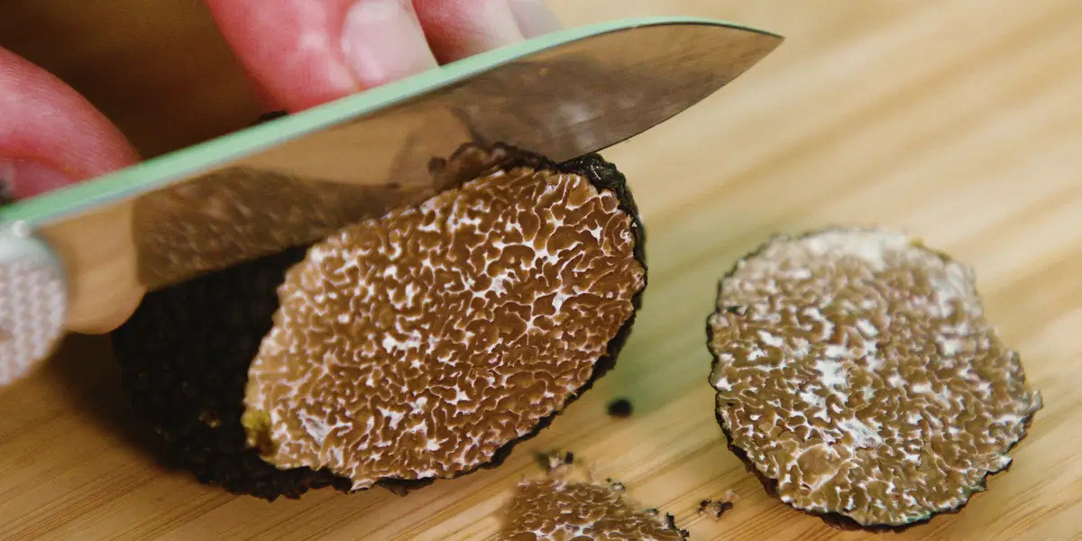 Chu cho ra suc dao ra mot cuc da duoi goc cay, la 