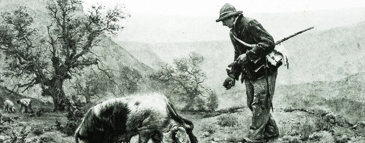 Chu cho ra suc dao ra mot cuc da duoi goc cay, la 