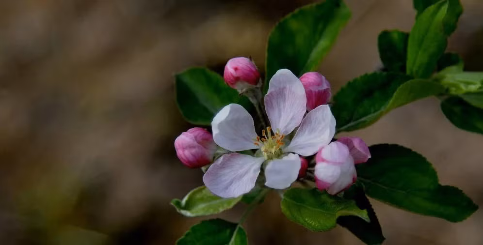 Suc khoe doi dao, 3 con giap nay ve gia song vo lo vo nghi-Hinh-2