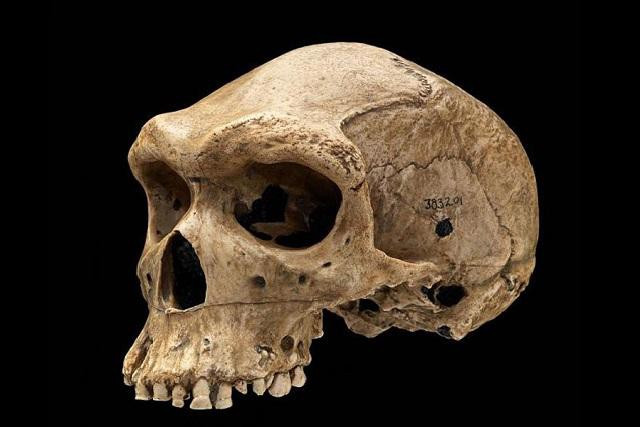 Bi an dau lau thoi tien su thung lo giong bi... dan ban