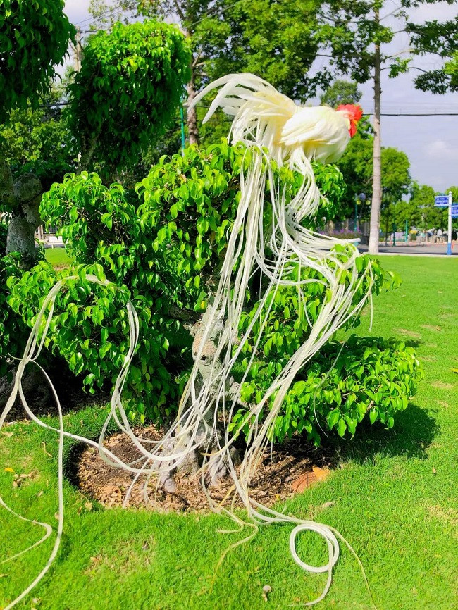 Năm 2015, anh Nguyễn Văn Hiền, trú tại Phường 2, TP. Tây Ninh (Tây Ninh) đã chi số tiền 143 triệu đồng để sở hữu 1 cặp gà Onagadori. (Ảnh: Nguyễn Hiền).