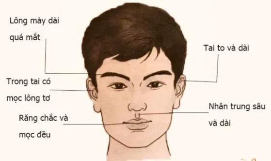 Nhin mat bat hinh dong: Tuong mat chon chong 