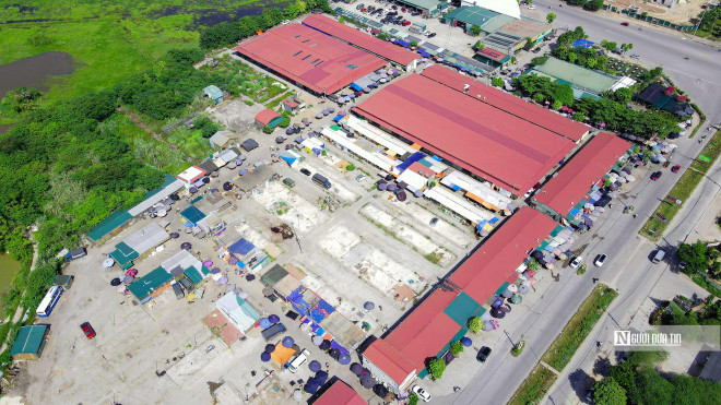 Khu chợ sinh vật cảnh trong công viên hoạt động như một chợ dân sinh.