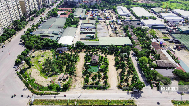 Hơn 70% diện tích đất ở khu công viên và khu cây xanh sẽ được trồng phủ cây bóng mát các loại như: Sao đen, lát hoa, giáng hương, sấu... Đường dạo ven hồ điều hòa trồng hàng cây liễu đuôi chồn, tạo bóng mát và cảnh quan.