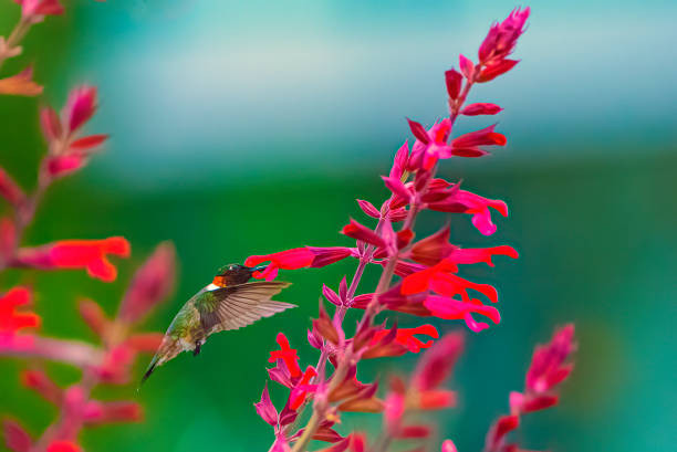 Sinh vao 4 ngay Am lich nay, nua doi truoc vat va, nua doi sau “nam duoi ma an”-Hinh-4