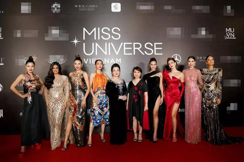 Ha Anh 5 lan 7 luot mac phan cam, tung bi cam dien 3 thang-Hinh-2